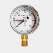 留針記憶型壓力表